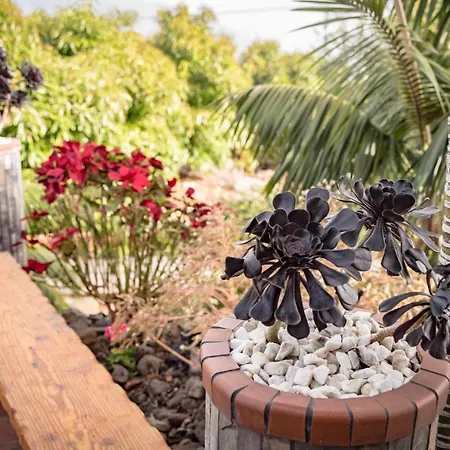 Pozo Taburiente * El Paso